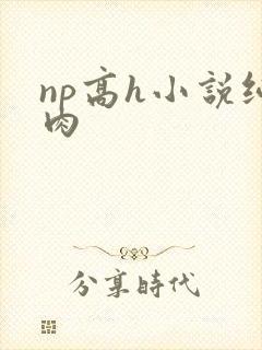 np高h小说纯肉