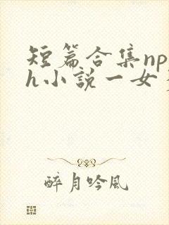 短篇合集np高h小说一女多男