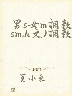 男s女m调教(sm,h文)调教小乳