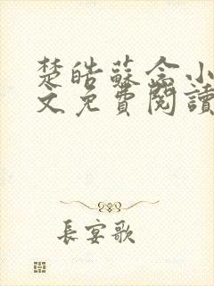 楚皓苏念小说全文免费阅读