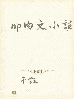np肉文小说封面