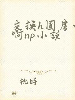 交换h圆房～嗯啊np小说封面