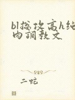 bl总攻高h纯肉调教文