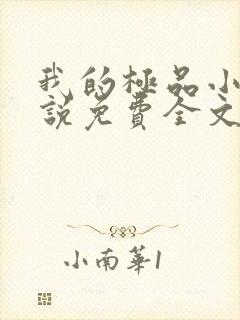 我的极品小姨小说免费全文阅读封面