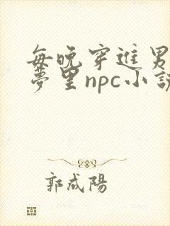 每晚穿进男神的梦里npc小说