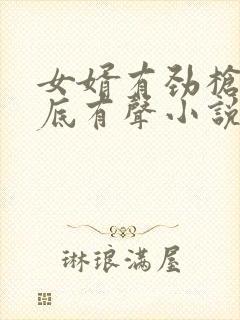 女婿有劲枪枪到底有声小说封面