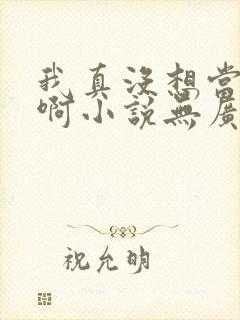 我真没想当皇帝啊小说无广告