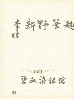 李新野笔趣阁txt封面