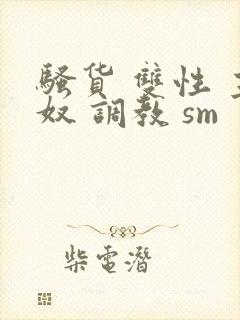 骚货 双性 主奴 调教 sm