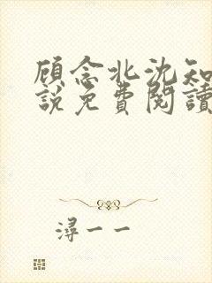 顾念北沈知宁小说免费阅读最新章节