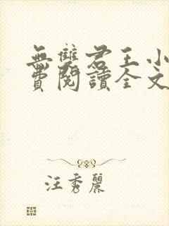 无双君王小说免费阅读全文