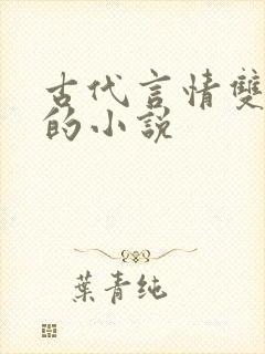 古代言情双男主的小说