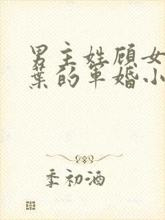 男主姓顾女主姓叶的军婚小说