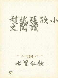 赵斌张欣小说全文阅读