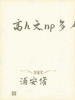 高h文np多人