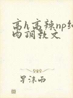 高h高辣np纯肉调教文