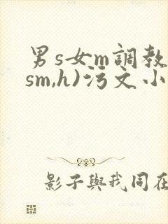 男s女m调教(sm,h)污文小说