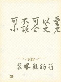 可不可以爱上我小说全文免费阅读