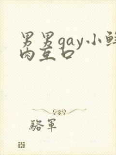 男男gay小鲜肉互口