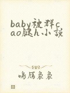 baby被群cao腿h小说