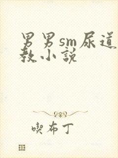 男男sm尿道调教小说