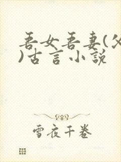 吾女吾妻(父女)古言小说