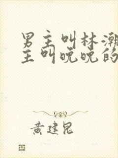 男主叫林潮生女主叫晚晚的小说