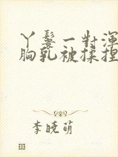 丫鬟一对浑圆的胸乳被揉捏小说