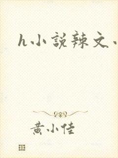 h小说辣文小说