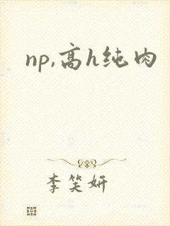 np,高h纯肉