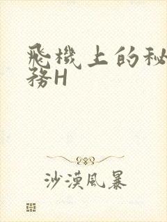 飞机上的秘密服务H