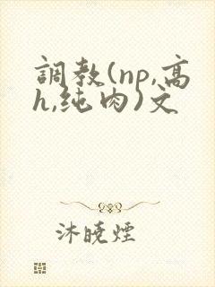 调教(np,高h,纯肉)文