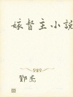 嫁督主小说封面