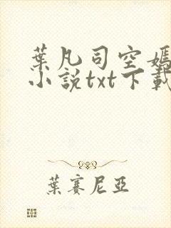 叶凡司空嫣然的小说txt下载封面