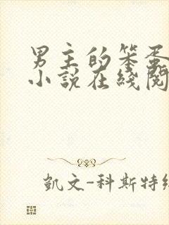 男主的笨蛋老婆小说在线阅读无弹窗