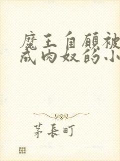 魔王自愿被调教成肉奴的小说