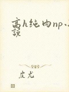 高h纯肉np小说