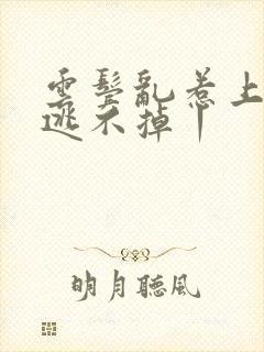 云鬓乱惹上权臣逃不掉丨