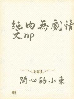 纯肉无剧情肉的文np封面