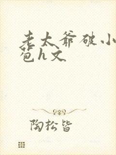 老太爷破小丫鬟苞h文