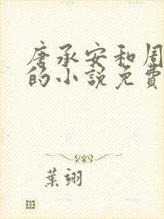 唐承安和周灵珊的小说免费封面