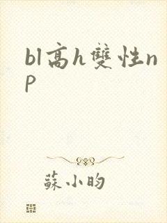 bl高h双性np