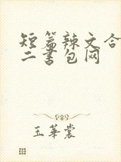短篇辣文合集第二书包网