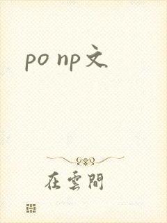 po np文