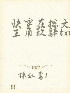 快穿在总文里抢主角玖辞txt