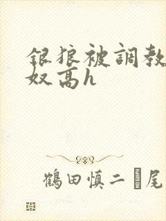 银狼被调教成肉奴高h