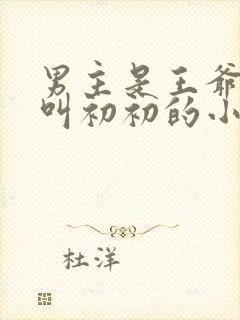 男主是王爷女主叫初初的小说