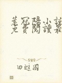 叶冠阳小说全文免费阅读最新章节