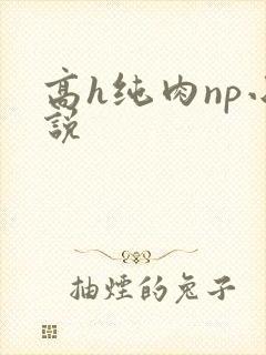 高h纯肉np小说