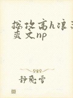 总攻高h浪荡肉爽文np封面